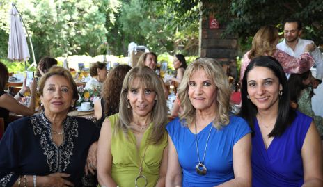  Chata Díaz de León, Martha Elena Díaz de León, Martha Elena Hernández y Verónica Díaz de León.