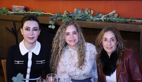  Liliana Meza, Gabriela Serment y Mónica Gaviño.