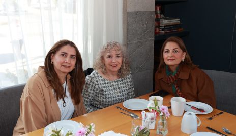  Claudia Guillén, Rita Llamazares y Mónica Guillén.