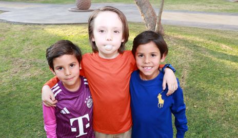  Alonso, José y Emilio.