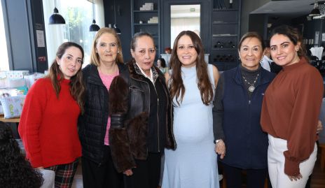   Mariana Candia, Ivonne Casarín, Marcela Suárez, Fátima Castro, Isabel Garfias y Marcela Zapata.