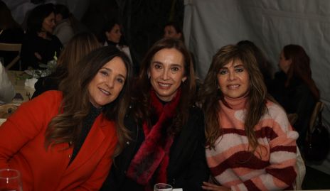  Claudia Toledo, Beatriz Sánchez y Florencia Soveraniz.