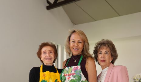  Ani Rossel, Alma Durón y Lucero Rosillo.