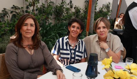  Sandra Galván, Marcela Castillo y Laura Álvarez.