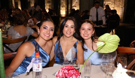  Karime Franco, Valeria González y Ana Hernández.