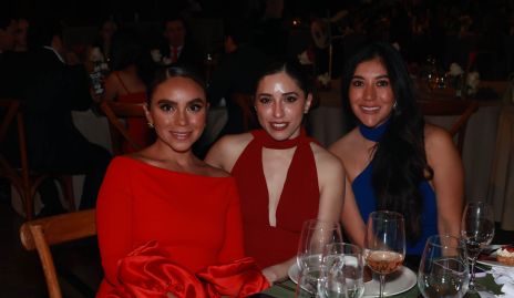  Leslie Pinzón, Ana Karen y Mariana Armendáriz.