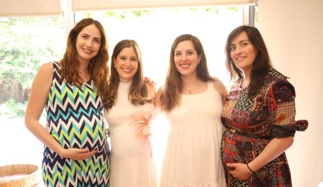  Elisa Buján, Araceli Palau, Ximena Villanueva, Paty Inurrigarro y Magda Foyo.