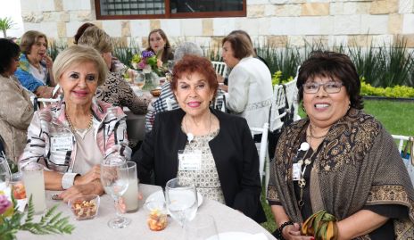  Dora Elena Lazalde, Adriana Gorena y María del Carmen Martínez.