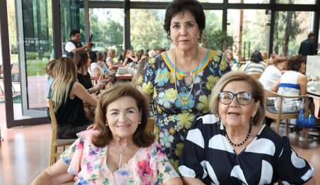  Graciela Flores, Gela de la Rosa y Lula Hernández.