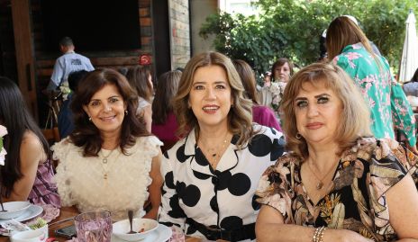  Paty Silos, Cristina Galán y Rosaura López Rivera.