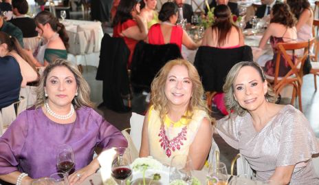  Lucía Pedraza, Liliana Barbosa y Guadalupe Esponda.