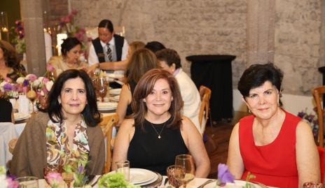  Lourdes Ramírez, Beatriz Rojas y Rosa María Díez Gutiérrez.