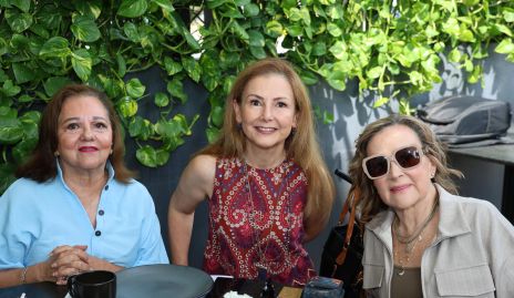  Carmen de la Torre, Geli Cárdenas y Mari Carmen López.