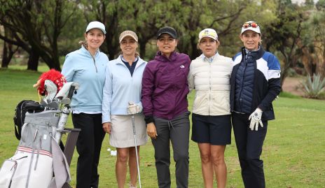  Érika Von Der Meden, Marcela Alcalde, Lorena Torres, Liliana Fernández y Claudia Díaz Infante.
