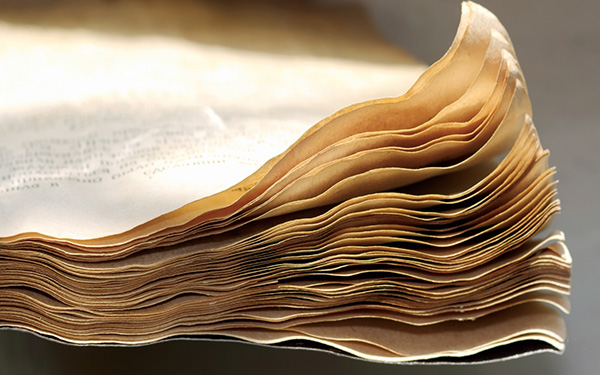 Consejos para rescatar un libro mojado