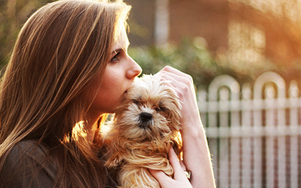 Personas aman más a los perros que a los humanos