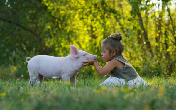 5 marcas de cosméticos cruelty free que puedes encontrar en Internet (a un excelente precio)