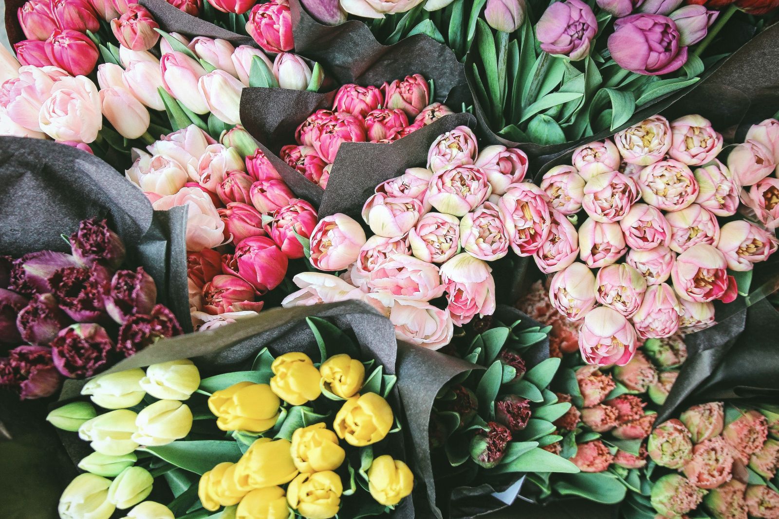 Cómo cuidar tus flores para que duren más.