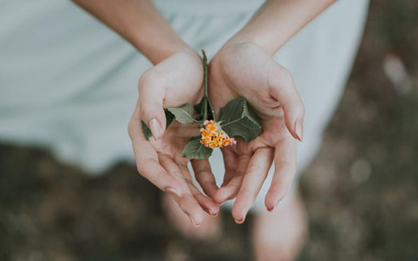 Purifica tu vida: decisiones simples para tener más buena vibra en tu día