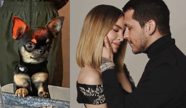 ¡Awww! Ellos son los tiernos lomitos de la familia Nodeli