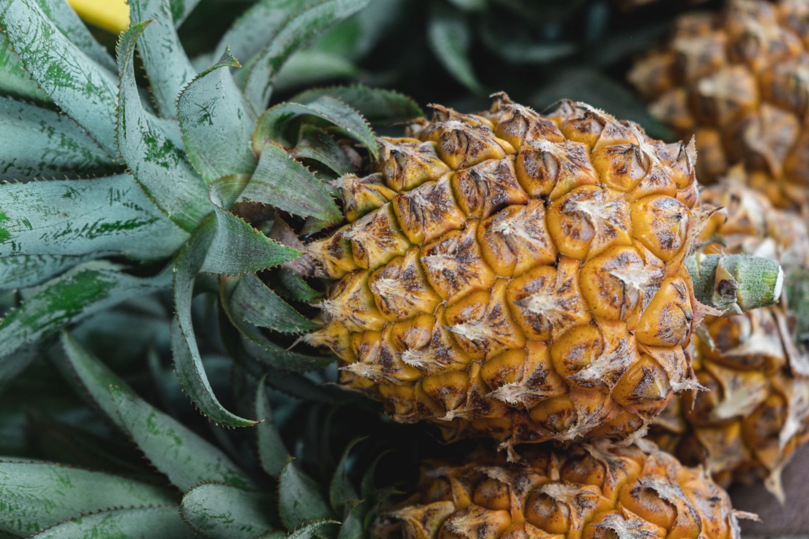 Jugo de piña con papaya para eliminar la grasa abdominal.