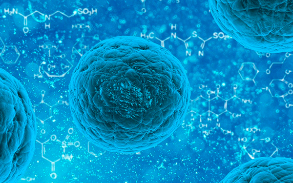 Coronavirus: estos son los mejores alimentos para reforzar tu sistema inmune.