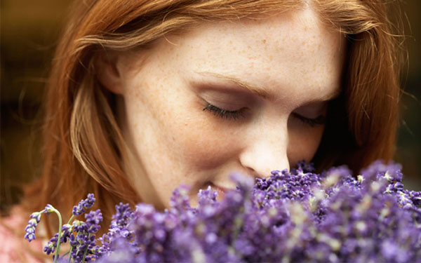 Quítate el estrés con lavanda ¡Conoce los beneficios!