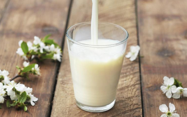 ¿De soya, coco, arroz o almendra? La guía para elegir la mejor leche vegetal