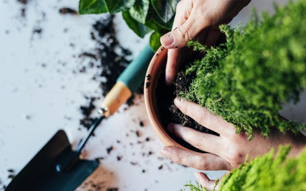 ¿Mal humor? Te decimos cómo aumentar tu buen humor a través de la naturaleza