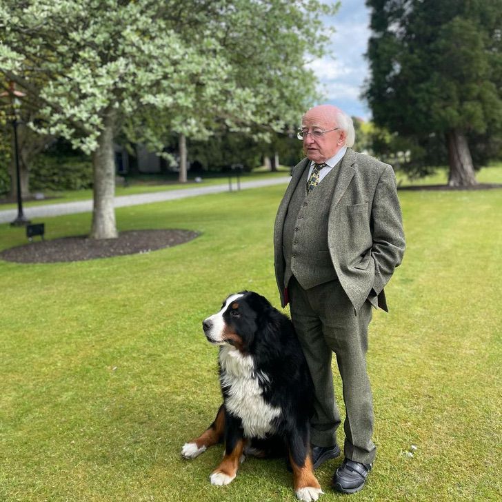 Perro del presidente de Irlanda interrumpió su conferencia. Nada le gusta más que jugar con su dueño