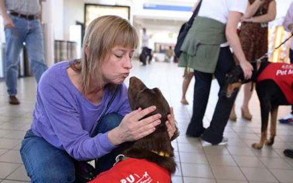 El aeropuerto de Los Ángeles ahora tiene cachorros antiestrés