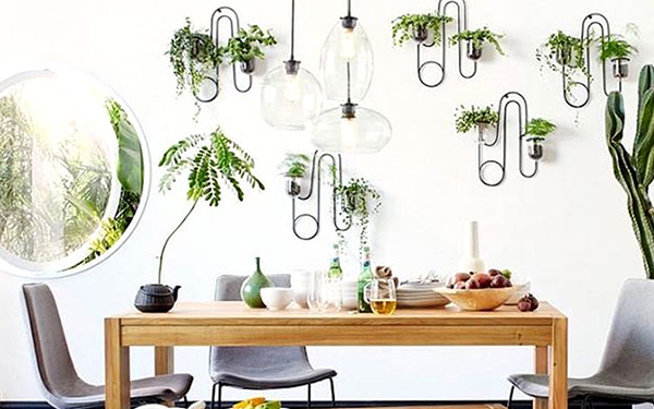 Esta es la mejor manera de cuidar tus plantas durante los días de frío