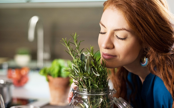 Beneficios del aceite de romero en la belleza