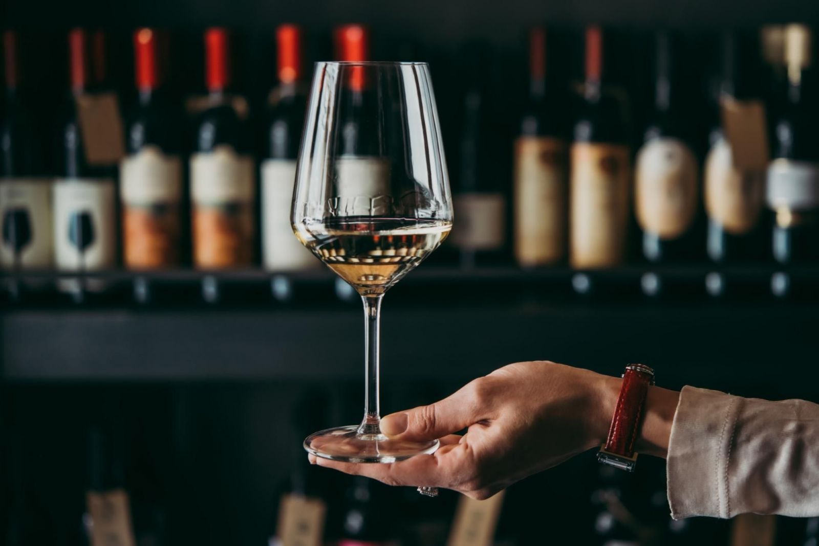 Vinos por menos de $250 pesos que son los favoritos de sommeliers