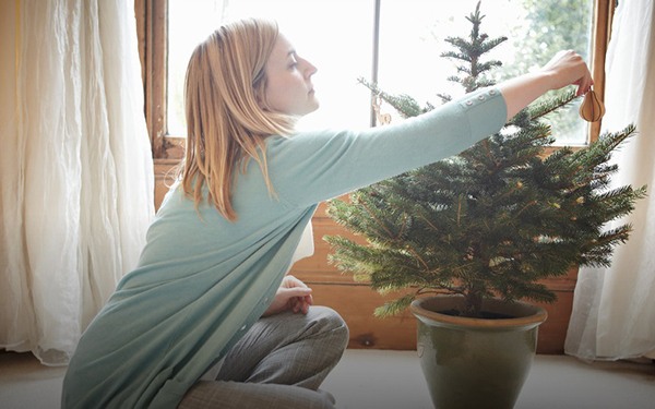 Los 5 tips básicos para ser más eco-friendly en la temporada navideña