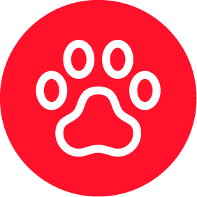 Mascotas