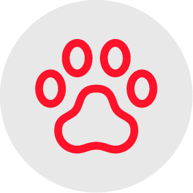 Mascotas