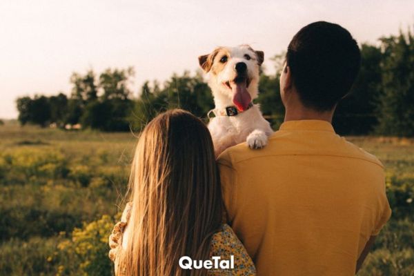 ¿Por qué los papás dicen que no quieren mascotas y siempre terminan amándolos?