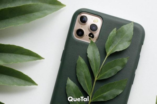 ¿Cómo usar laurel en la funda del celular para atraer el dinero?