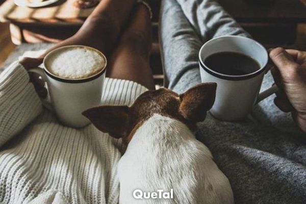 Las mejores películas de romance para hacer maratón este 14 de febrero