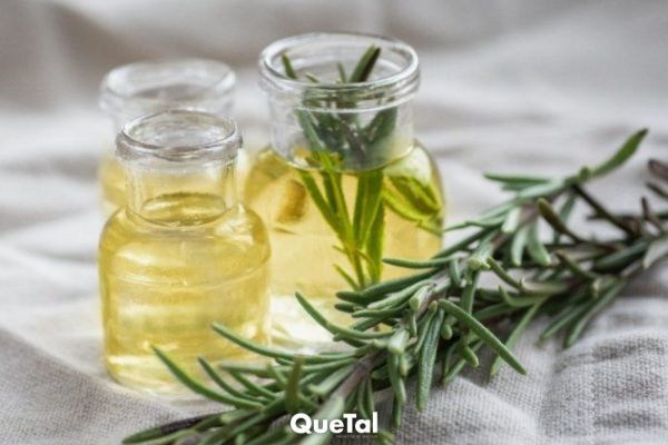 Aceite de romero: estos son los beneficios para tu cabello