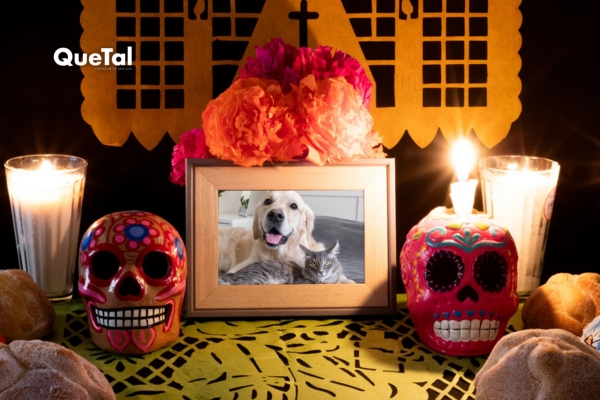 Ofrenda para mascotas: ¿Cuándo se coloca y qué lleva?