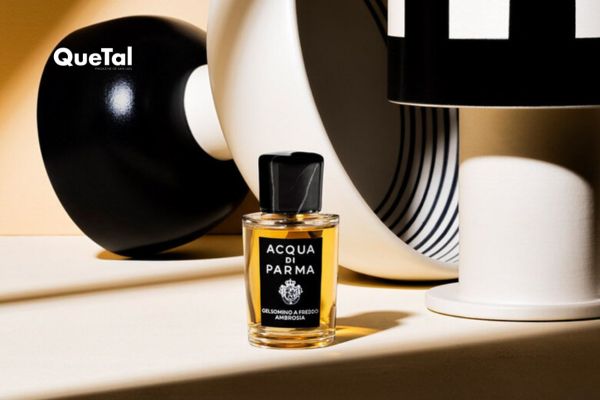 El perfume ideal para empezar 2026 con elegancia italiana 