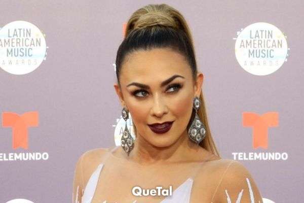 Aracely Arámbula reconoce a la figura paterna de sus hijos, y no es Luis Miguel