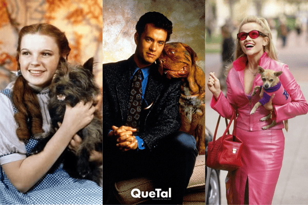 15 perros inolvidables que conquistaron la pantalla grande