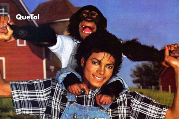 ¿Qué paso con Bubbles? El chimpancé de Michael Jackson