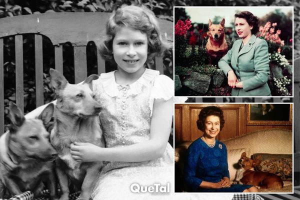 ¿Qué pasará con los corgis de la Reina Isabel II?