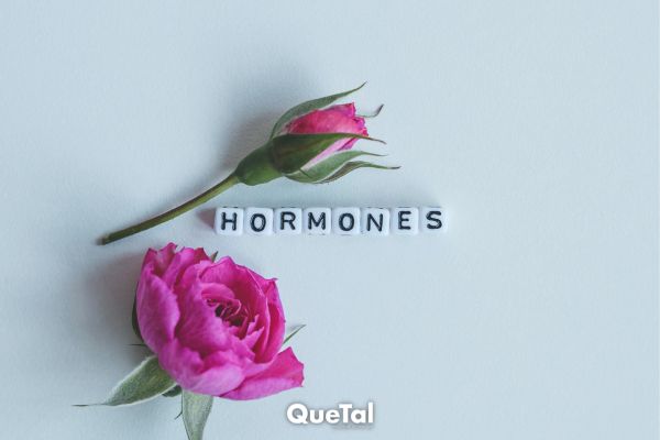 Todo lo que debes de saber del desequilibrio hormonal 