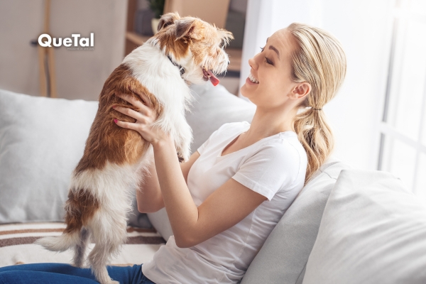 Tu perro podría saber si estás feliz, triste o enojado