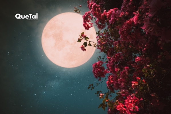 Luna de Flores: así impactará tu vida desde el 1 de mayo